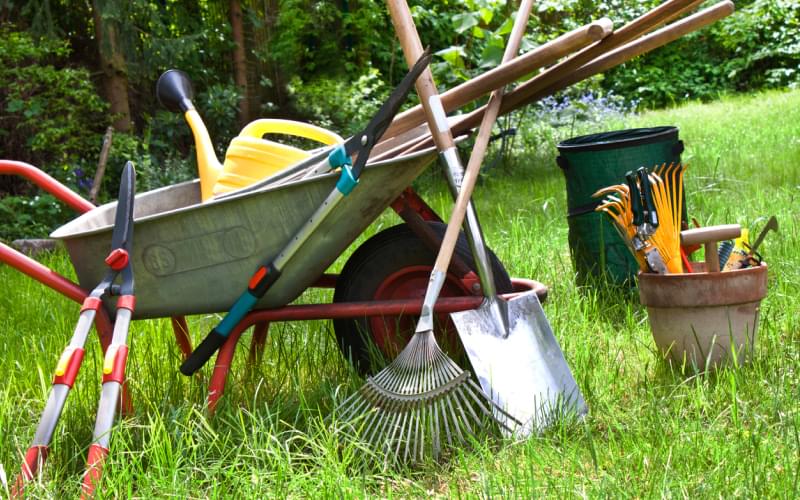 A wheelbarrow filled with various garden tools, including shovels and rakes, sitting on a lush green lawn, with some tools leaning against it, ready for maintenance